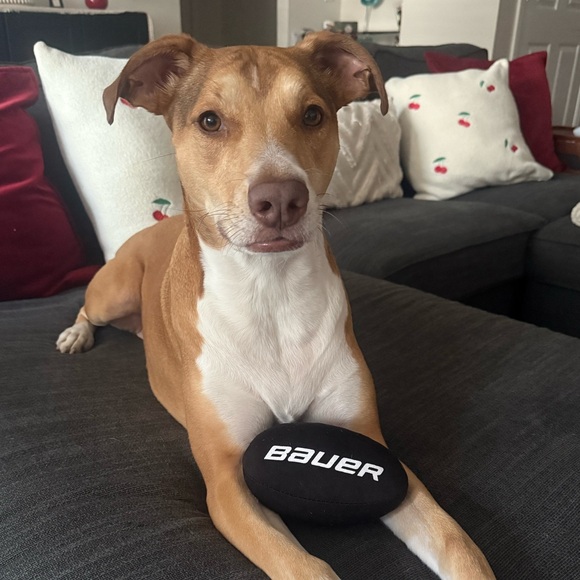 Meet your Posher, Marven - Picture 1 of 1